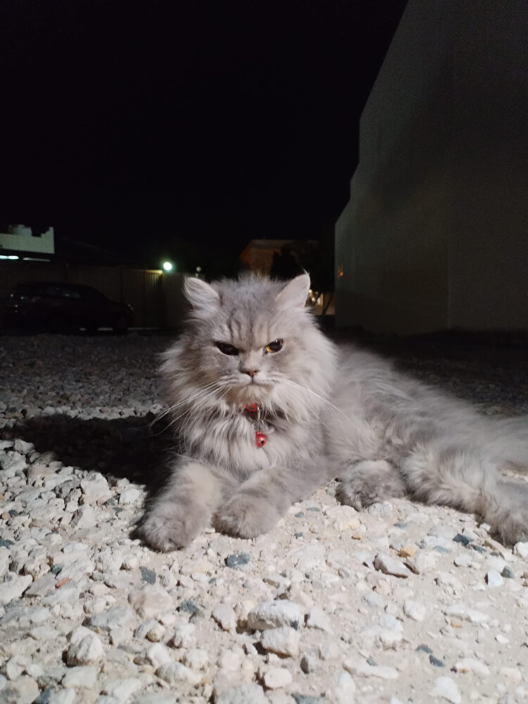 بيع - 3