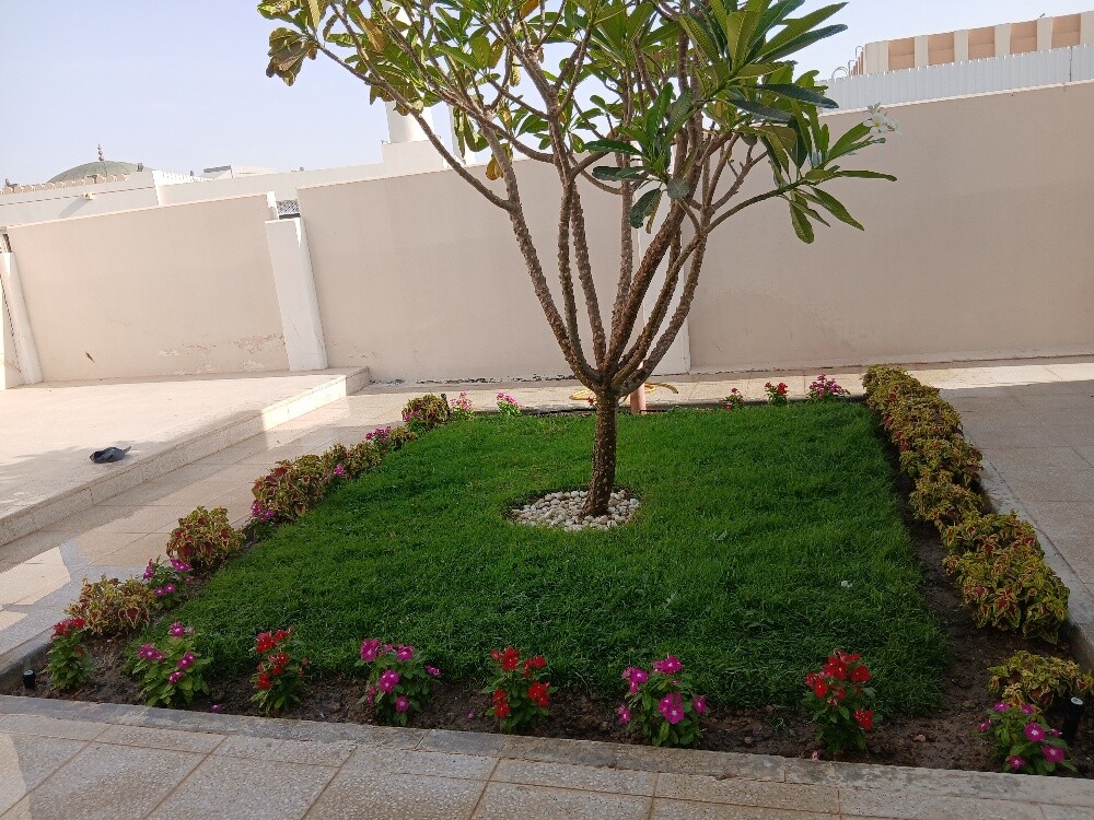 بباجار البلوشی - 3