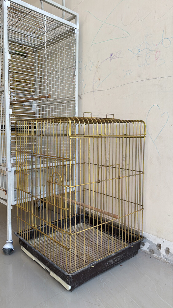 for sell bird cages - 2