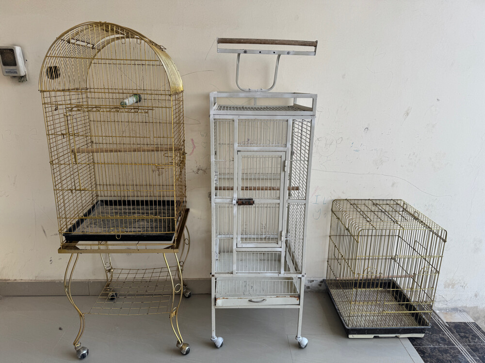 for sell bird cages - 1
