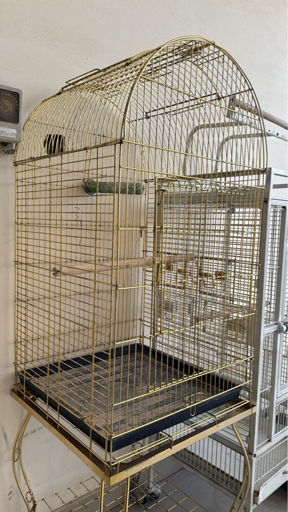 for sell bird cages - 5