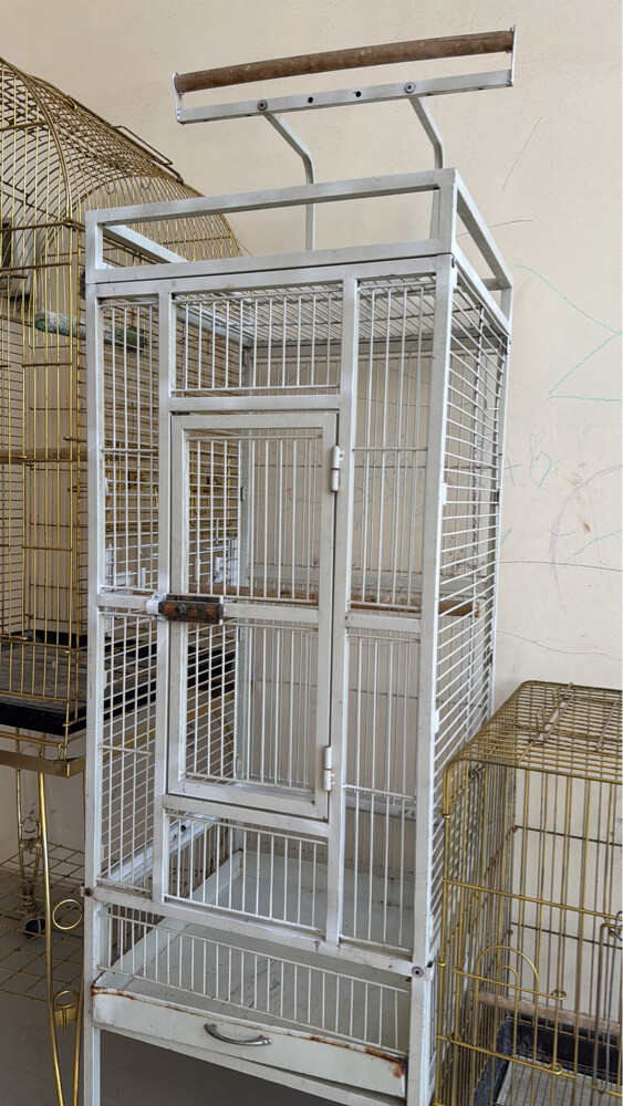 for sell bird cages - 4