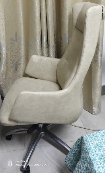 EXECUTIVE CHAIR (BEIGE COLOR) - 1