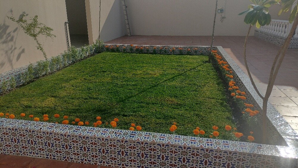 منسق حداءق - 6