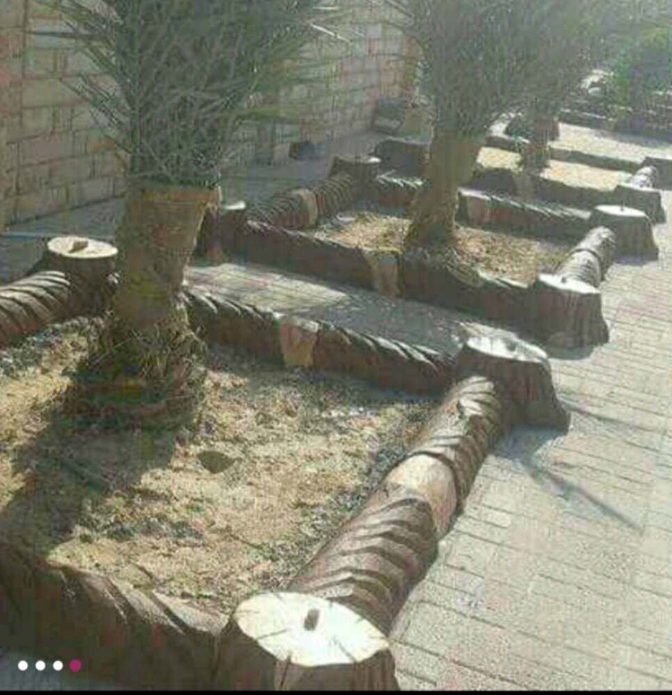 تصميم حدائق - 4