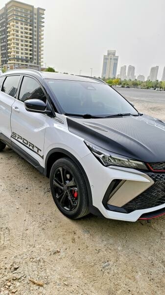Geely Coolray Sports Ltd. CUSTOM - 10