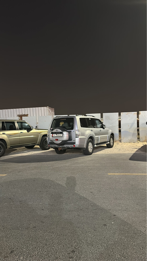 باجيرو 2014 - 4