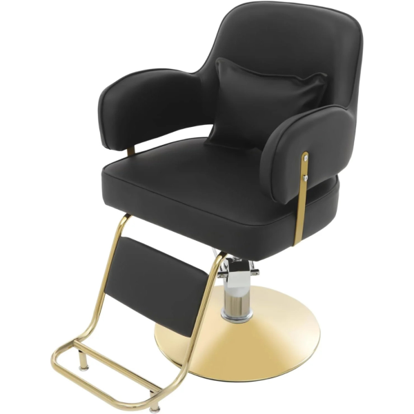 Salonchair - 1