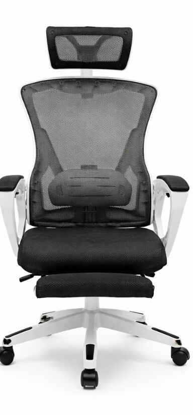 Premium Ergonomic Office Chair – - 2