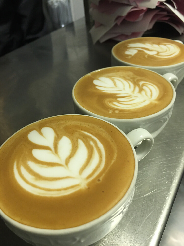 Seeking Barista Job - 3