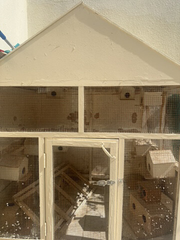 bird house - 3