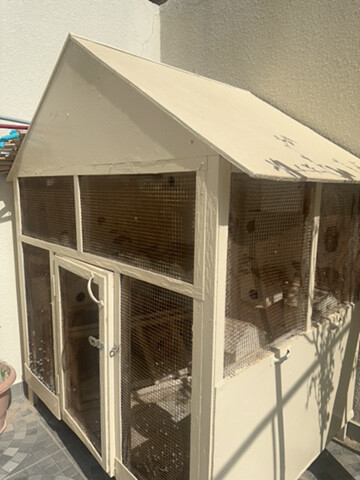 bird house - 1