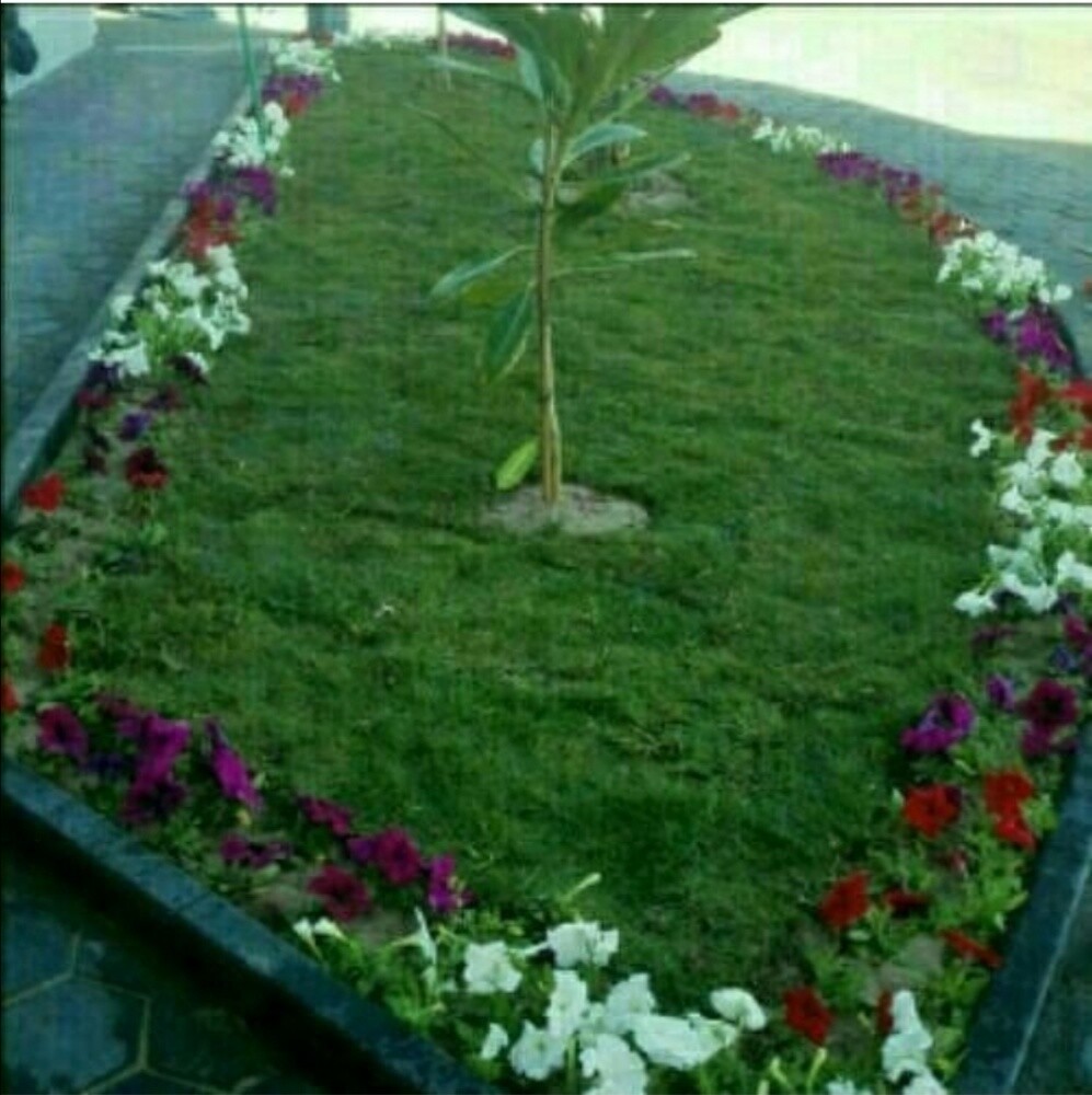 قص تنظيف حديقه - 1