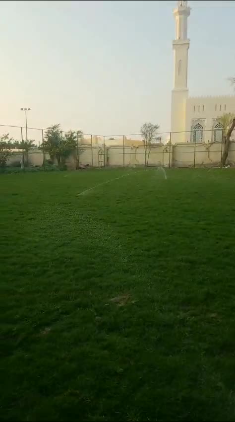زراعة العشب - 1