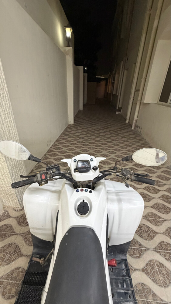 بطبطه 100 سيسي - 2