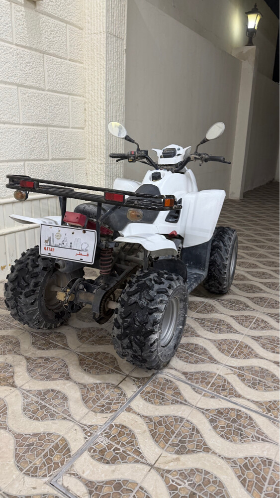بطبطه 100 سيسي - 3
