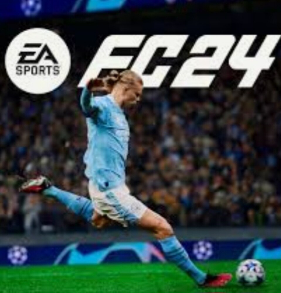فيفا ٢٤ - 1