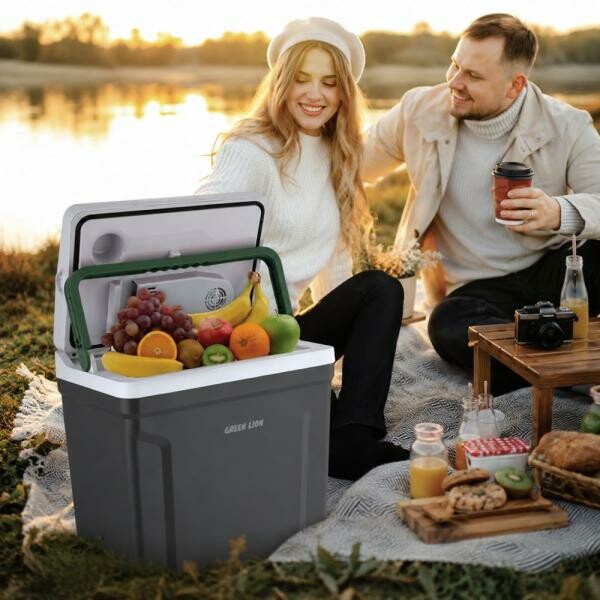 Heating and Cooling Refrigerator - 2