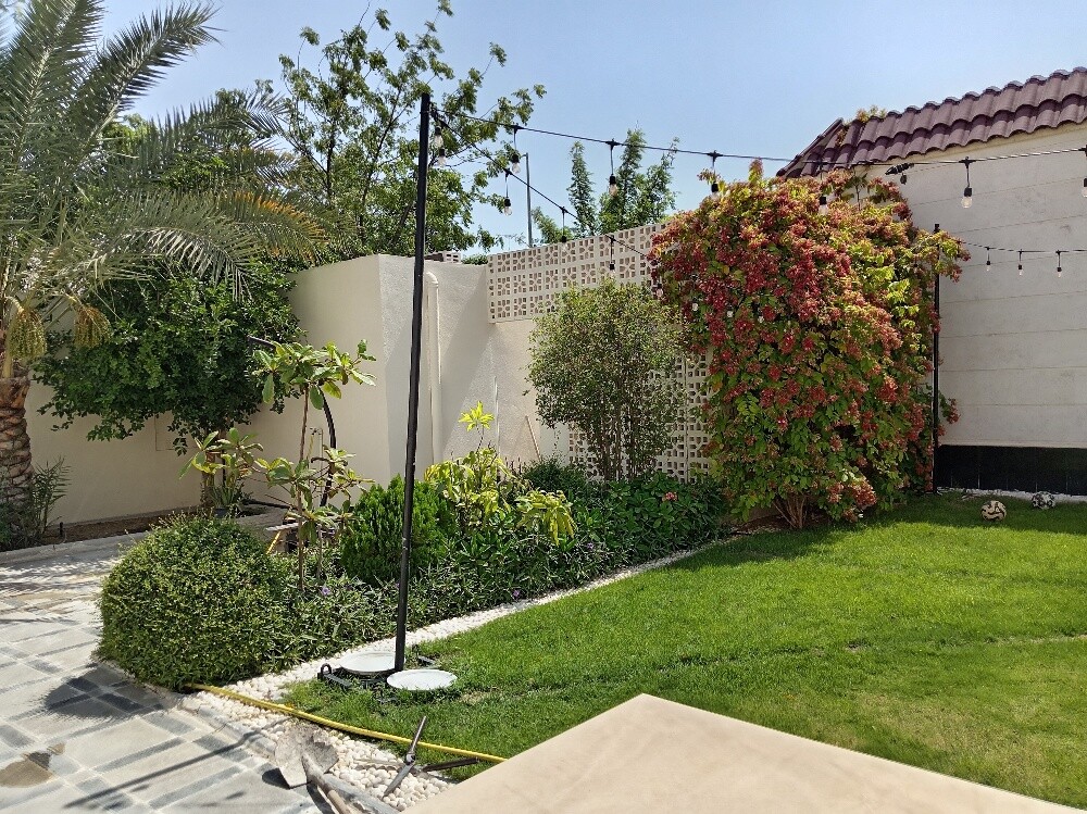 أشجار زينه - 2