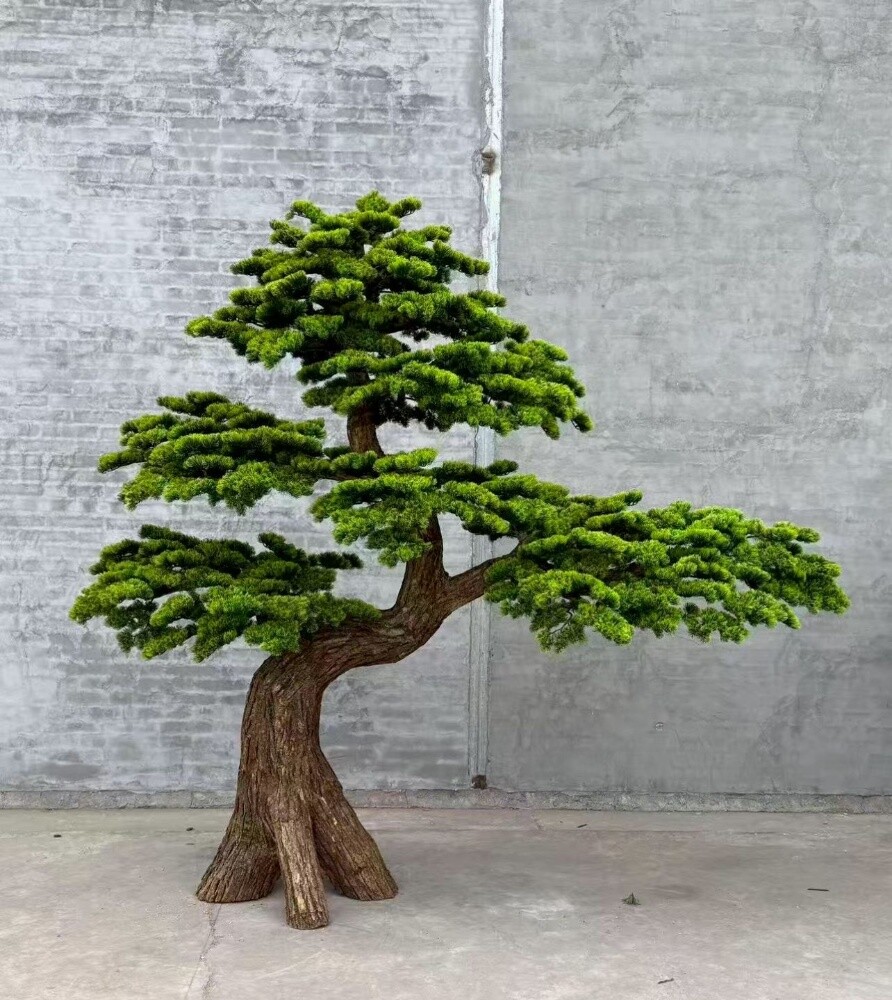 أشجار زينه - 4