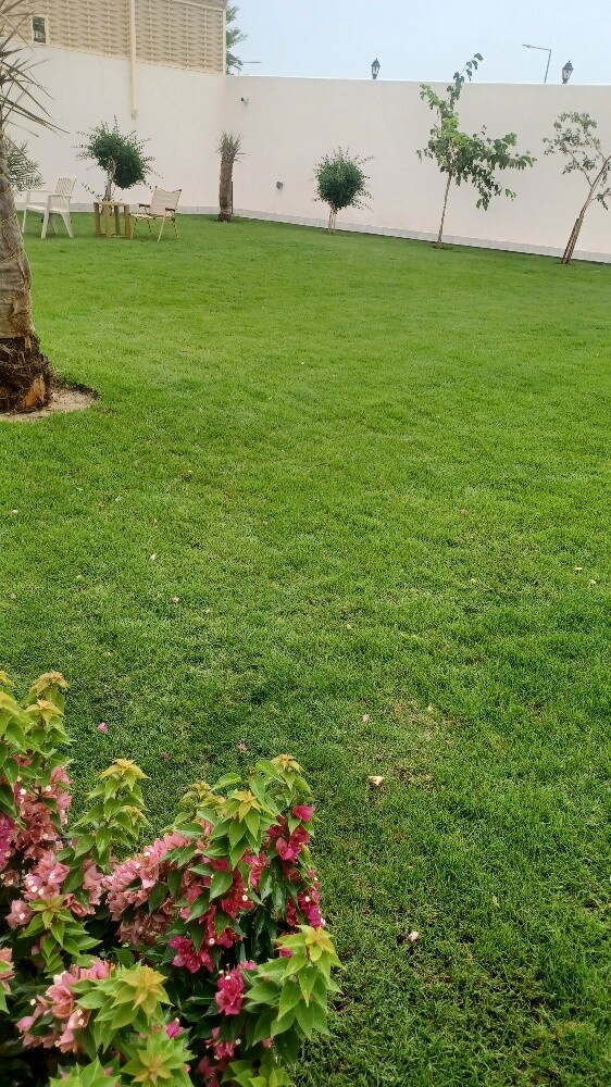 ترتيب وتنظيف الحدائق - 7