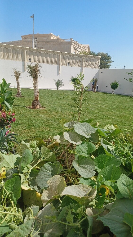 ترتيب وتنظيف الحدائق - 14