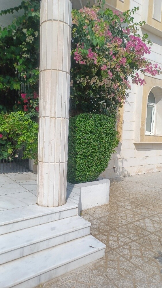 ترتيب وتنظيف الحدائق - 11