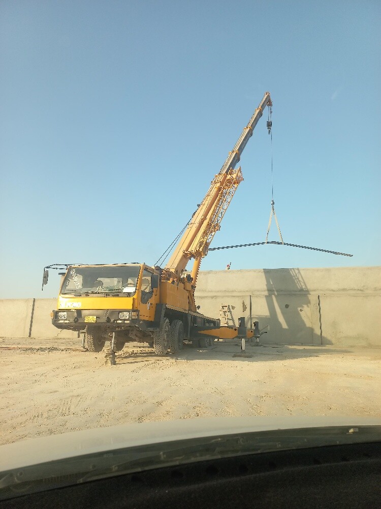 required crane - 1