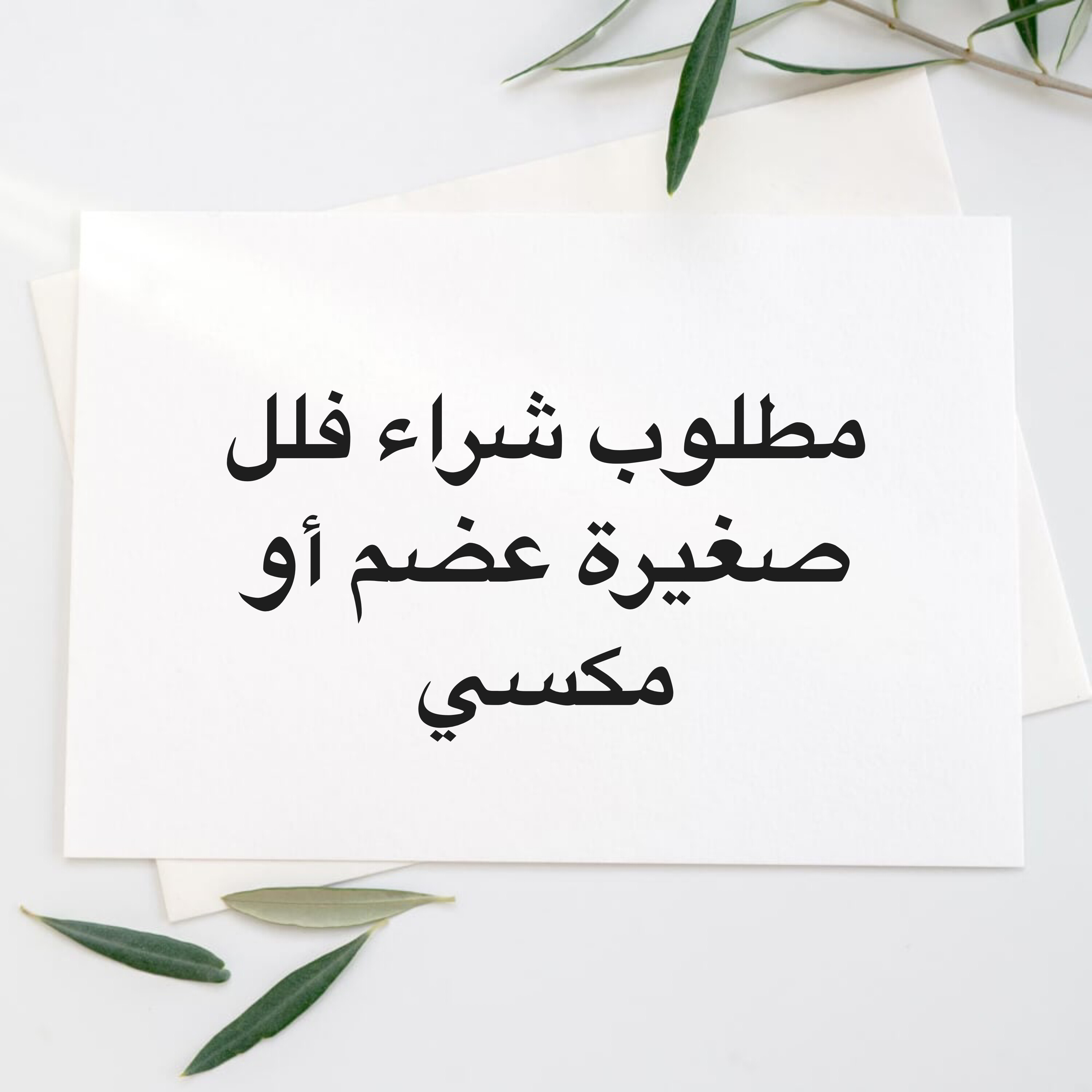 مطلوب شراء فلل - 1