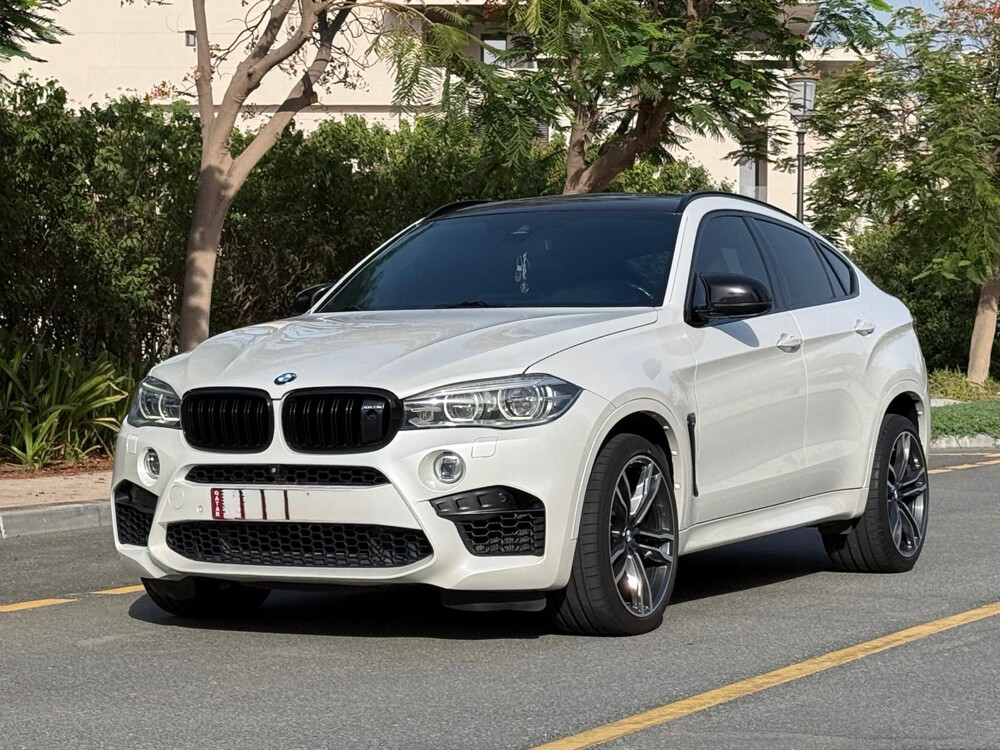 BMW X6M - 1