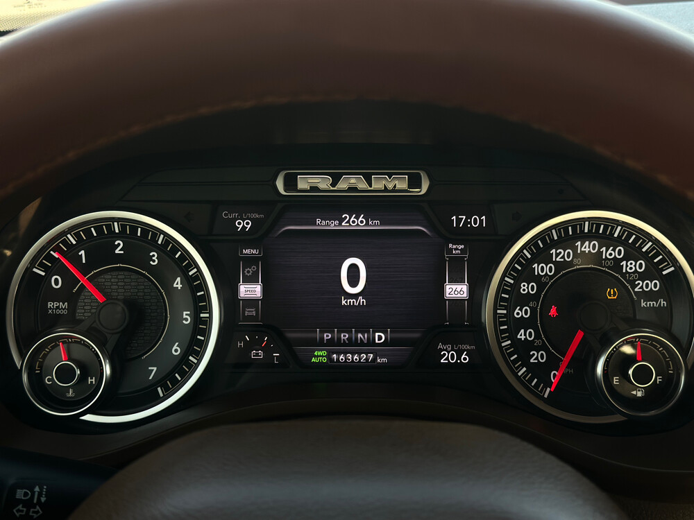 Ram Laramie - 13