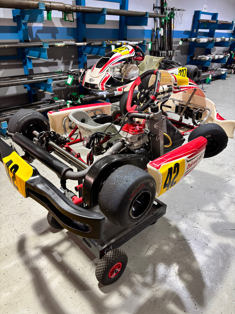 Rotax Go Kart - 4