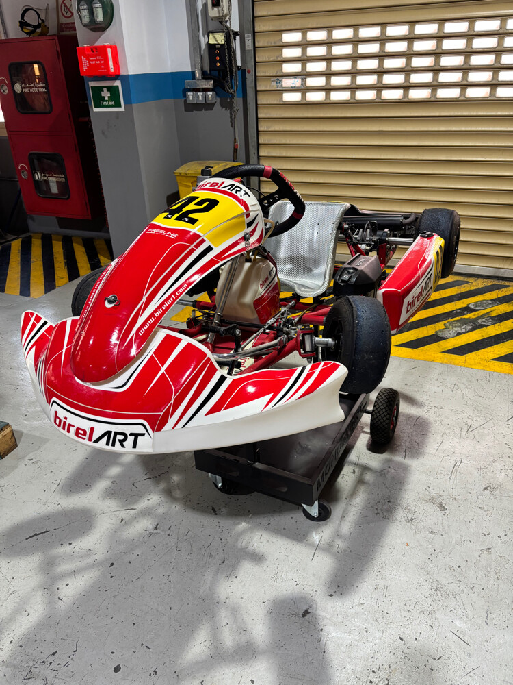 Rotax Go Kart - 1