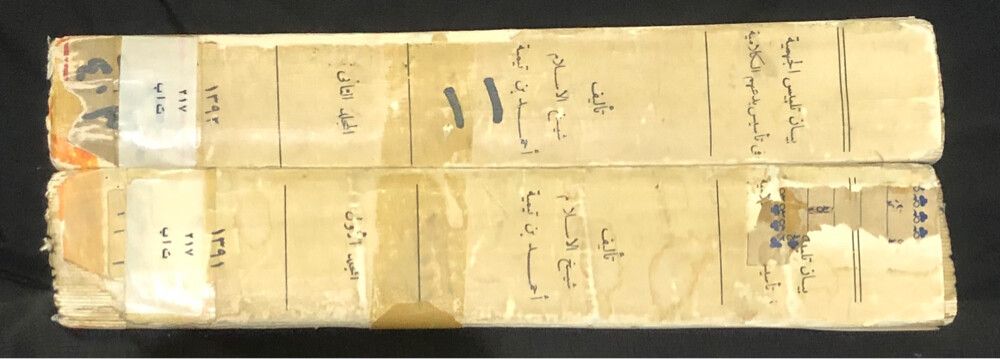 من نوادر الكتب بيان تلبيس الجهمية - 2