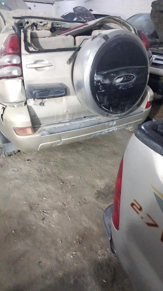 برادو تشليح - 1