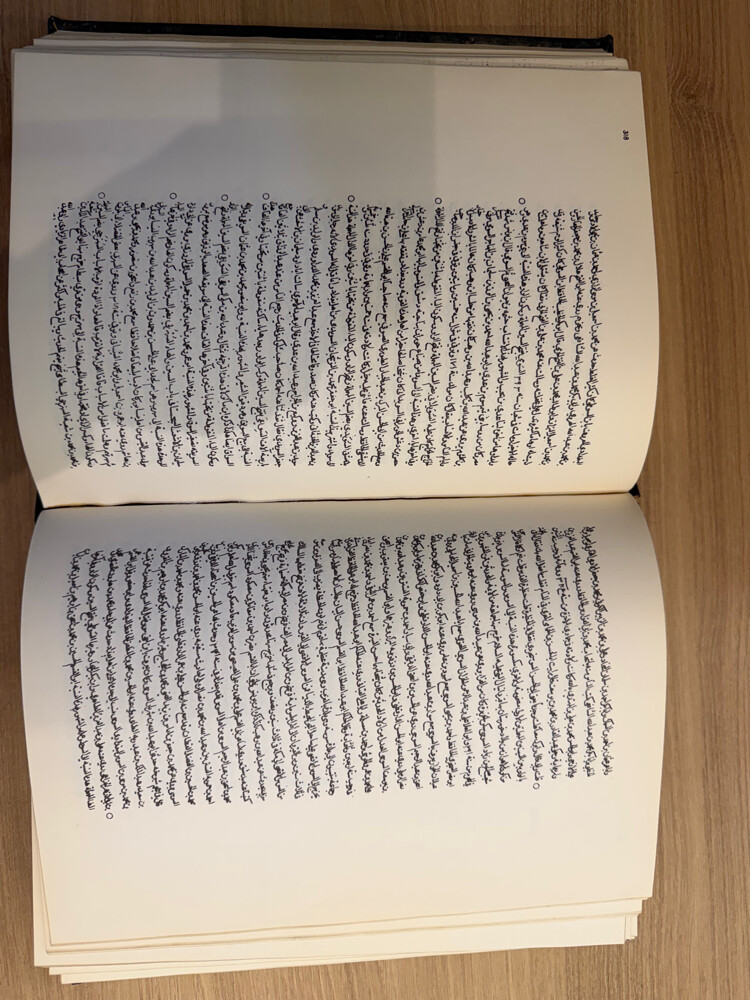كتاب الأنساب مخطوط مصور نادر جدا - 1