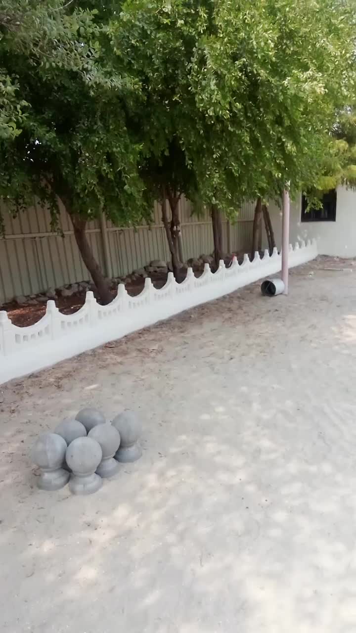 ديزين - 8