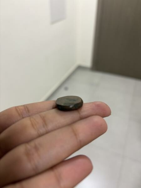 Antique Coin Collection 460+ Coin - 4