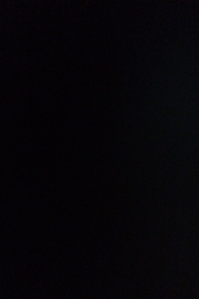 مطلوب طلب للتبني - 1