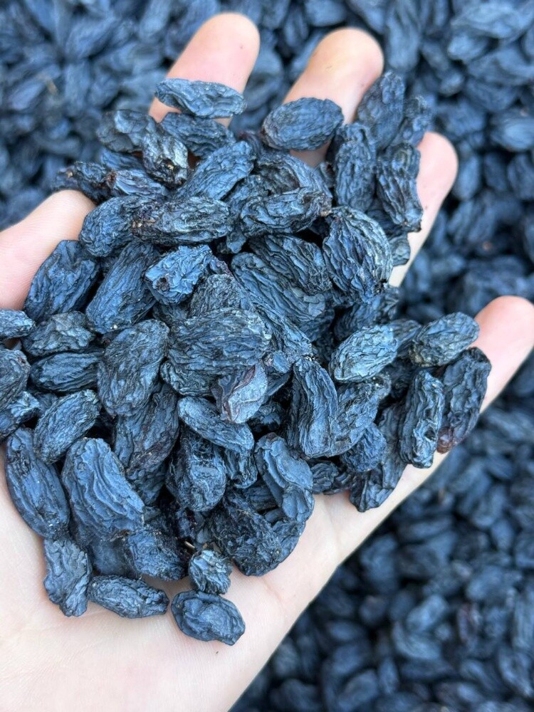 Raisin - 6