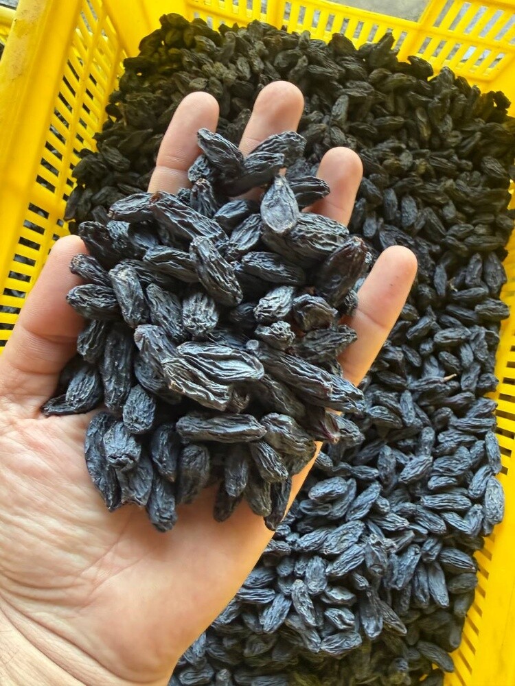 Raisin - 1
