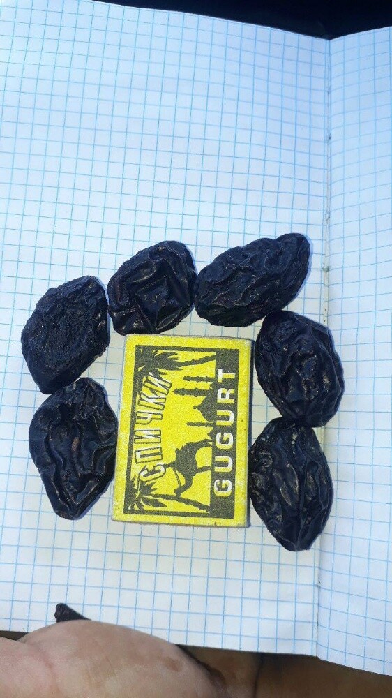Raisin - 7