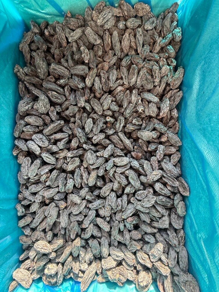 Raisin - 4