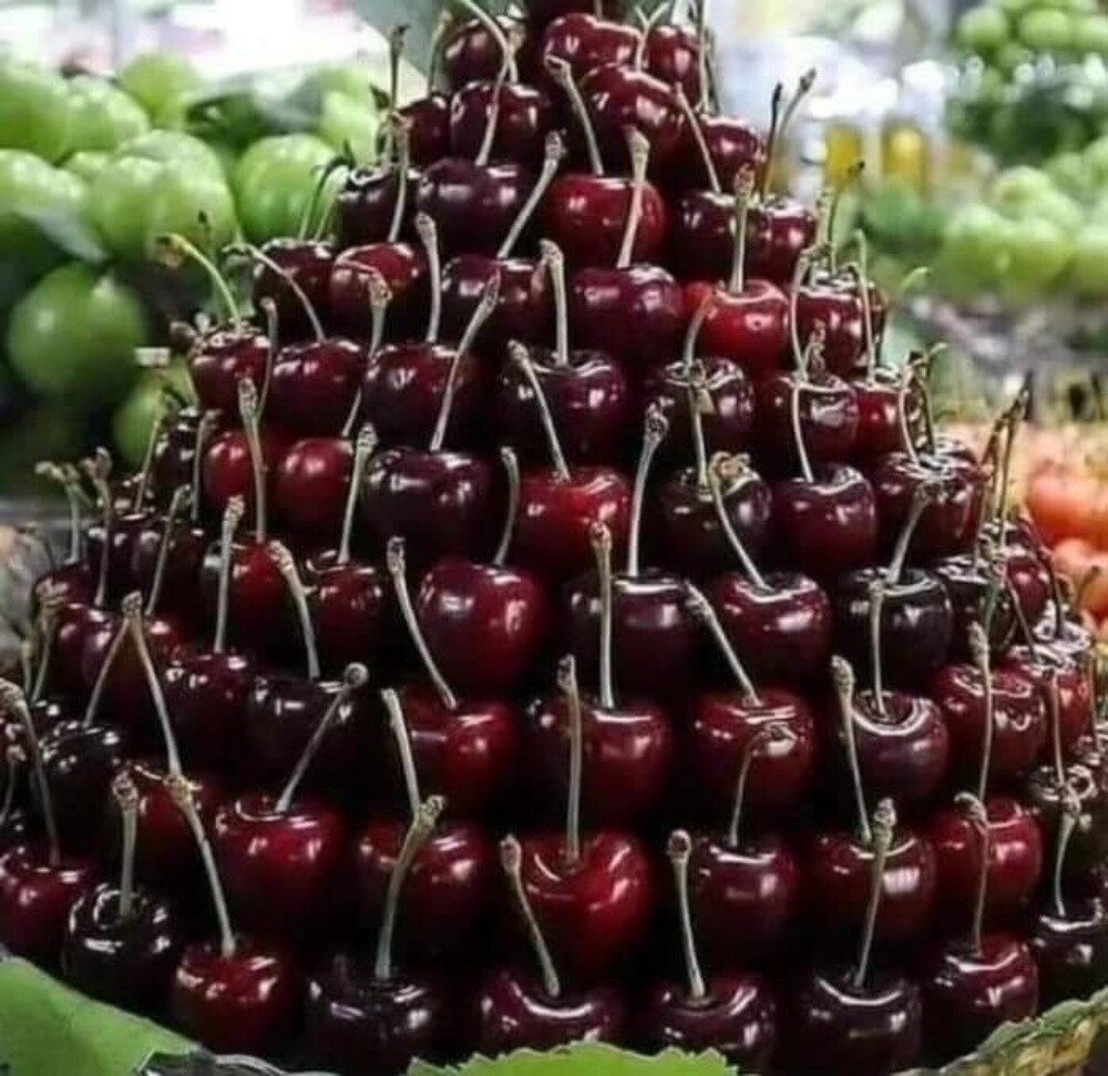 Fruits - 11