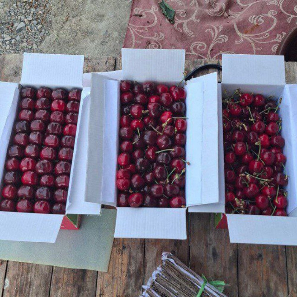 Fruits - 30