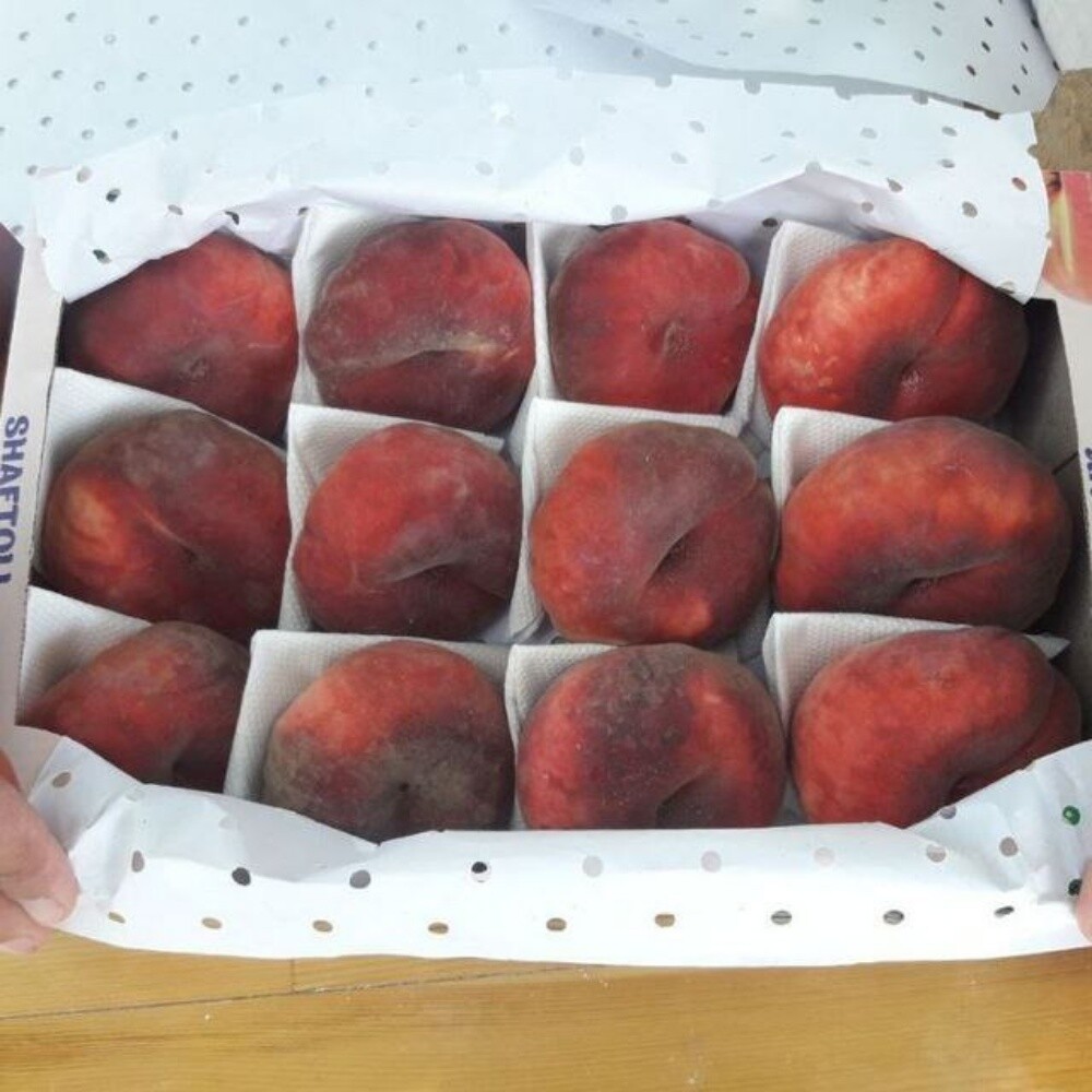 Fruits - 2