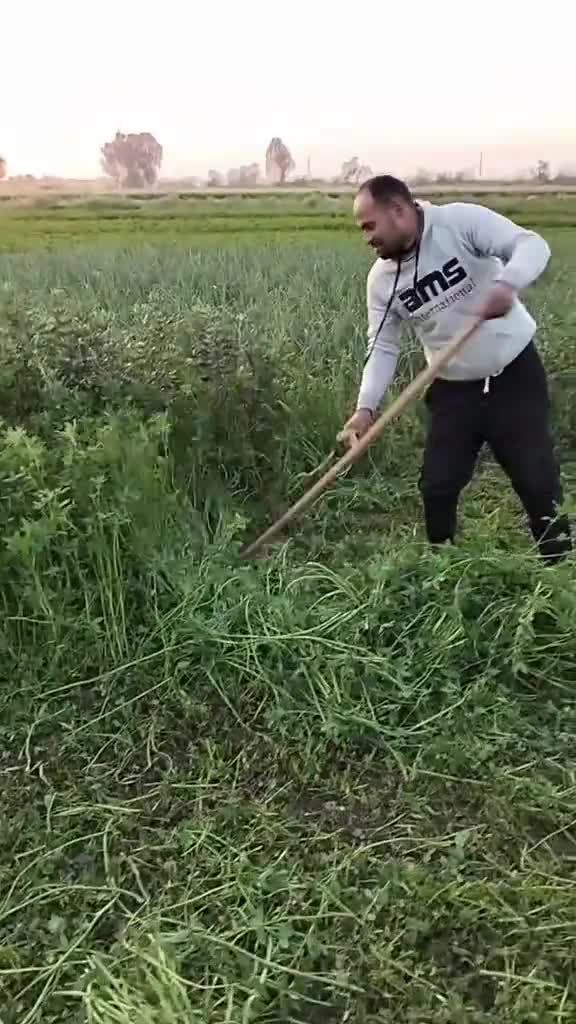 lawn mowers - 3