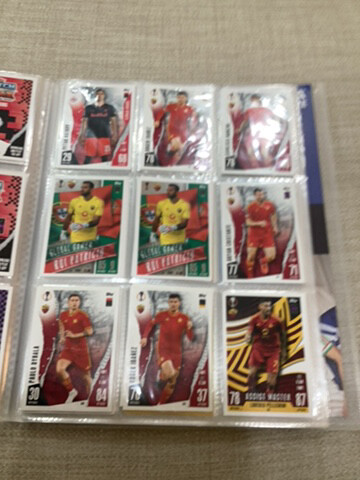 Match Attax - 22