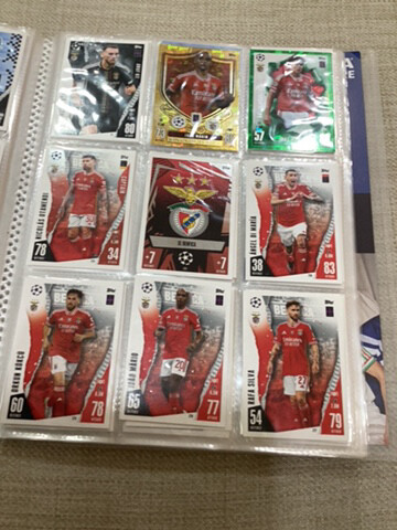 Match Attax - 15