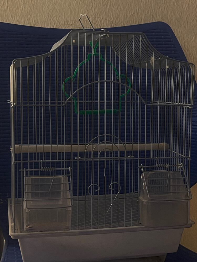    Bird Cage - 1